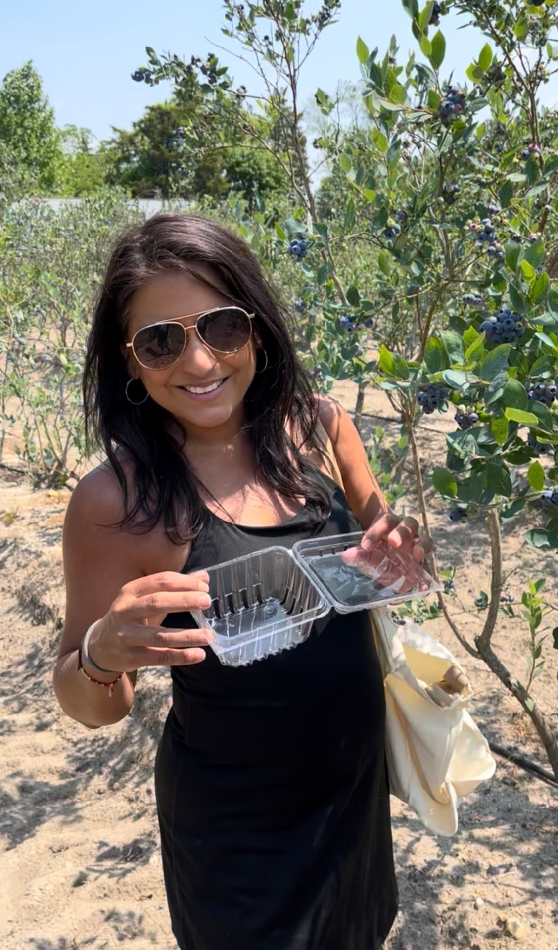 Yvette Fox picking fresh blueberries at a sunny farm